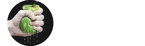 Wylsa.com