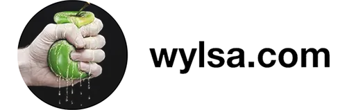 Wylsa.com