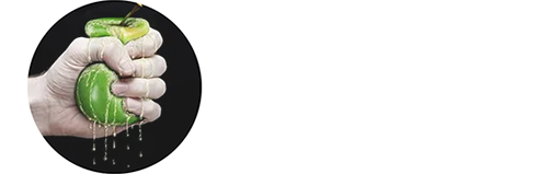Wylsa.com