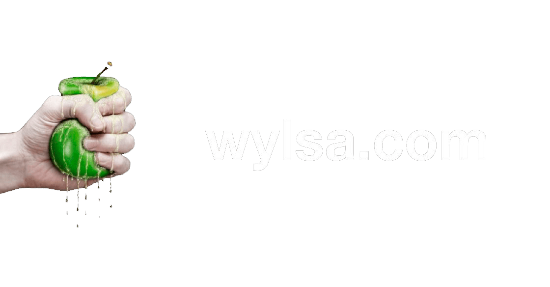 Wylsa.com